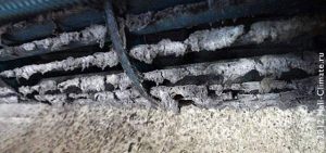 cleaning-sample-004